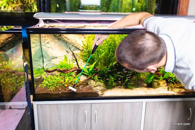 repair-and-clean-your-aquarium