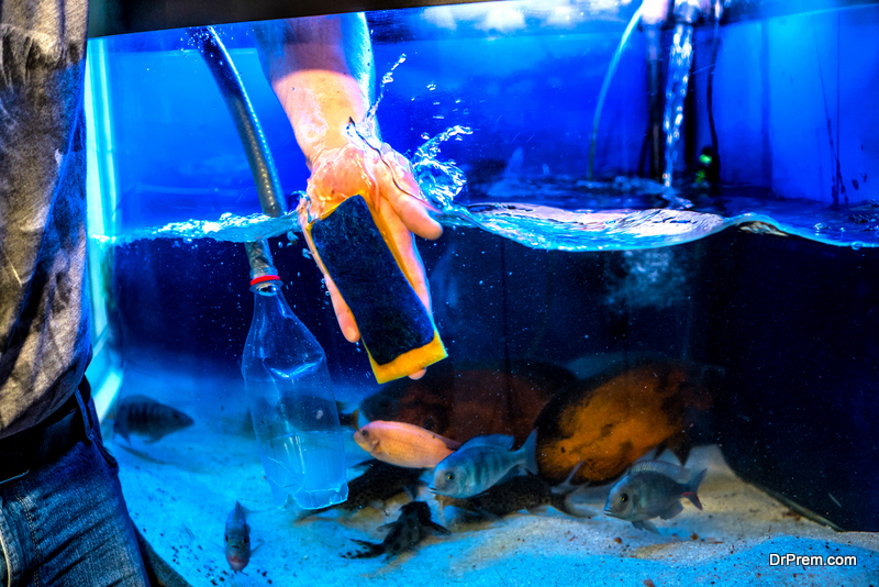 repair-and-clean-your-aquarium