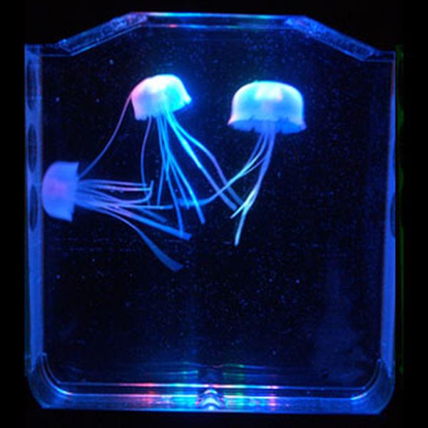 Aquapict LED Jellyfish aquarium