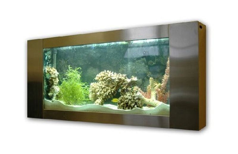 Wall mounted aquarium