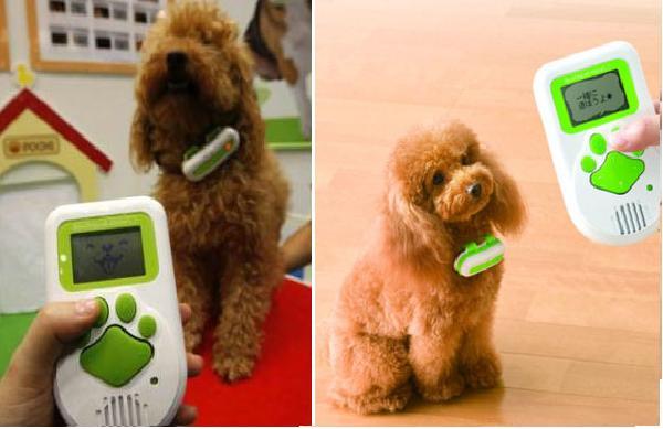 Cool Gadgets for Your Pet