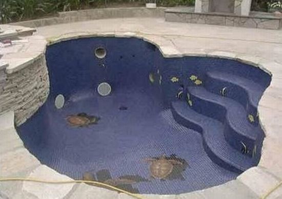 3d swimming pool