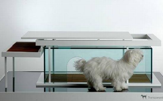 adore your dog in his transparent doghouse