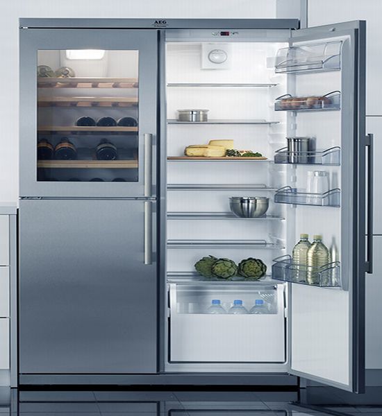 aeg refrigerator santo BjREn 1822