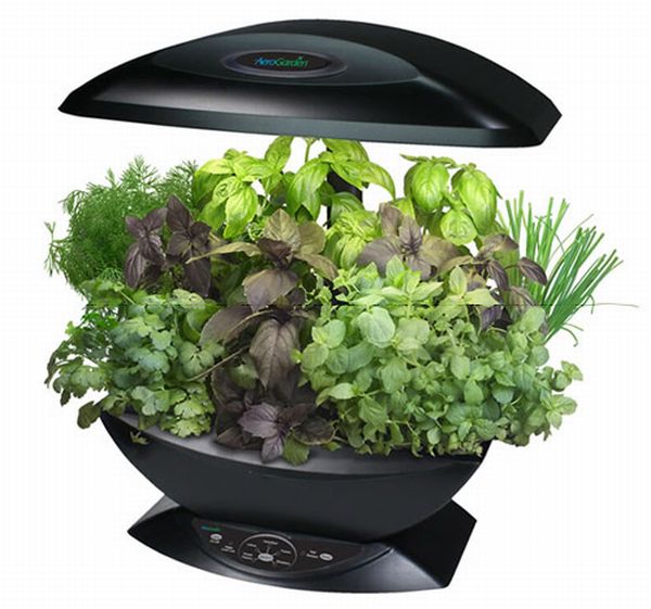 AeroGarden