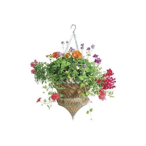 Austram hanging planter