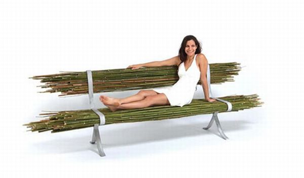 Bare Bamboo Bench