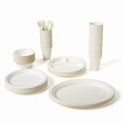 biodegradable dinnerware sets