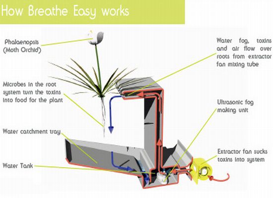 breath easy4 cSTH6 1822