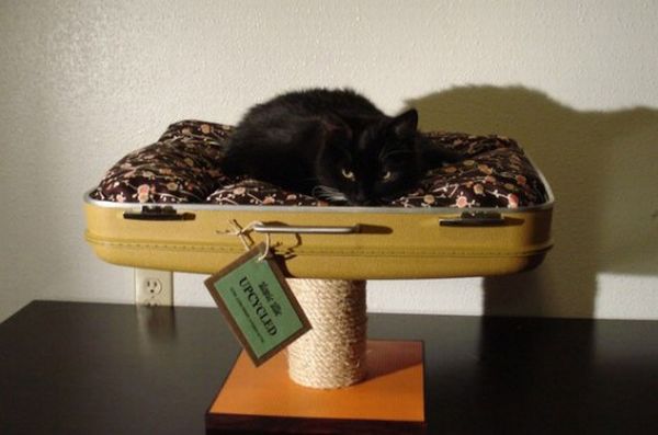 Cat bed