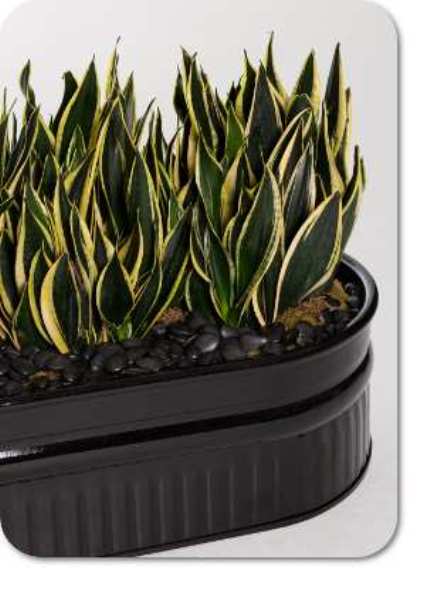 Deco steel planter