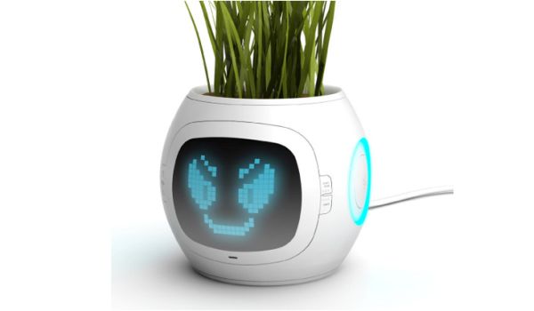 Digital Plant Pot