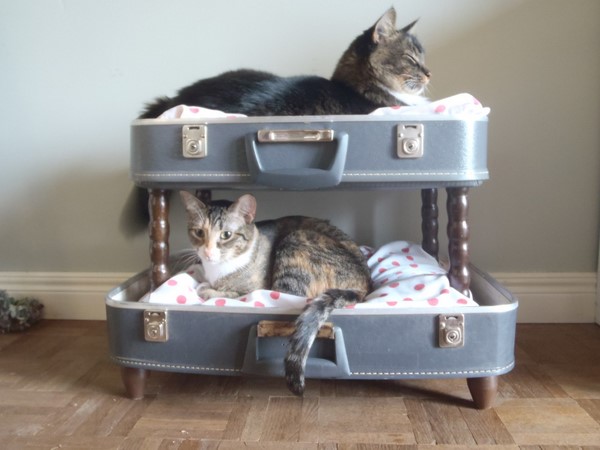 Double Bed in Suitcase for pets