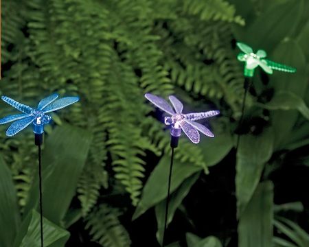 dragonfly solar lights