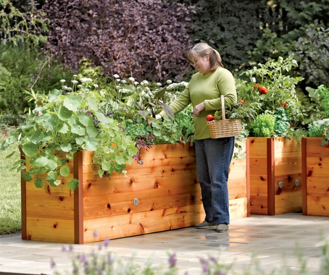 Elevated cedar raised garden beds