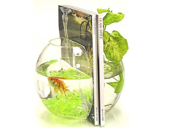 Fish Bowl Bookends