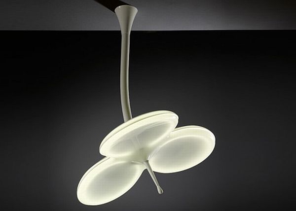 Flower Light by Filip Streit