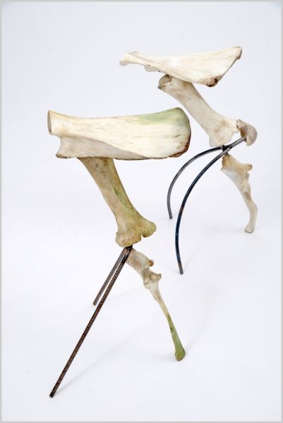 Get back to prehistoric era: Stools made from discarded cow bones