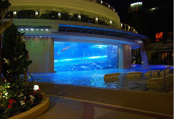 Golden nugget shark tank pool