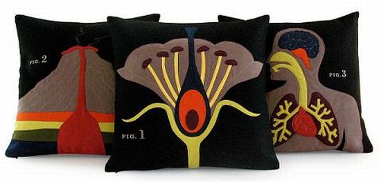 heather lins science project pillows