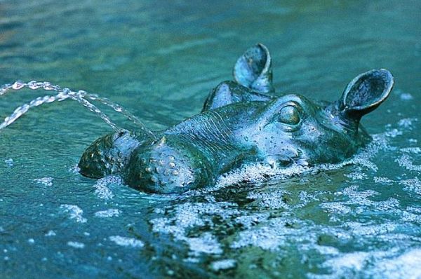 Hippo Head Fountain