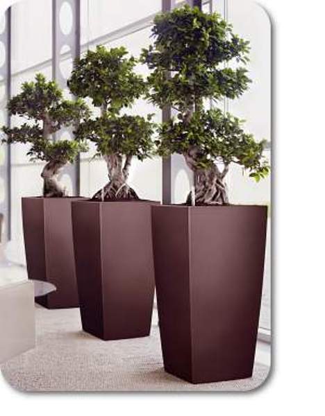 Horizon planters