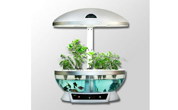 Hydroponics flower pot