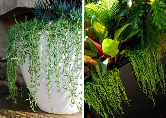 incredible planters from urban nature1