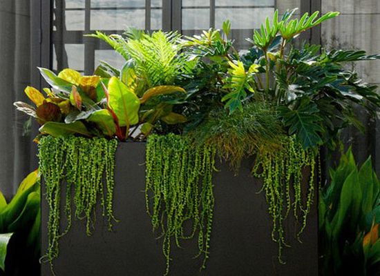 incredible planters from urban nature2