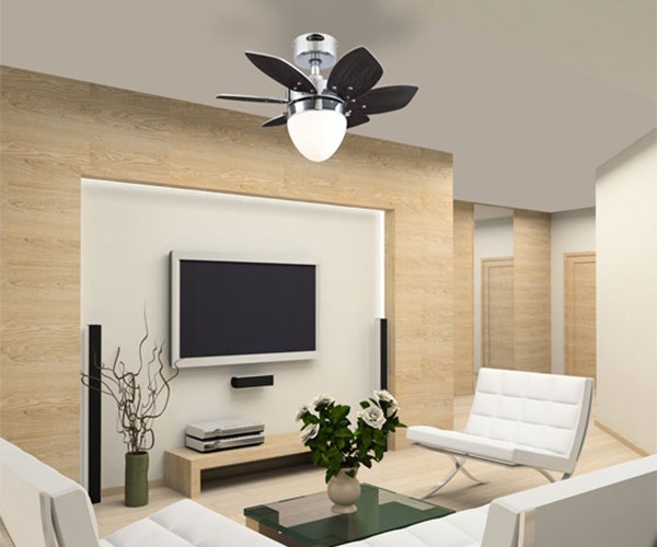 Indoor ceiling fan