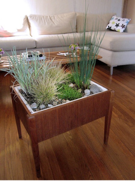 Indoor Planter