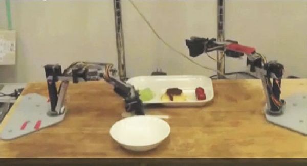 jap meal assistance system robot
