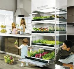 kitchen nano garden