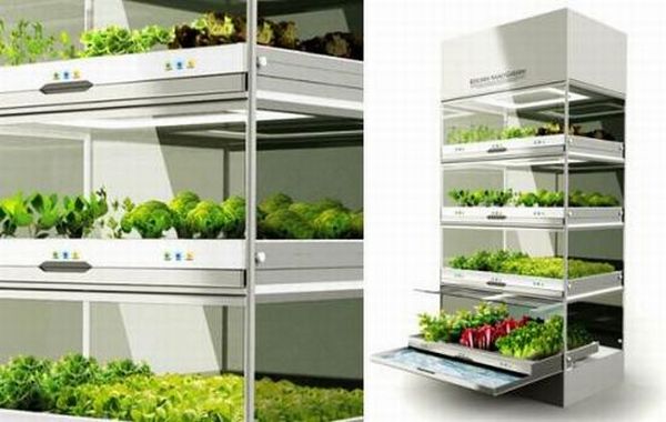 Kitchen Nano Garden