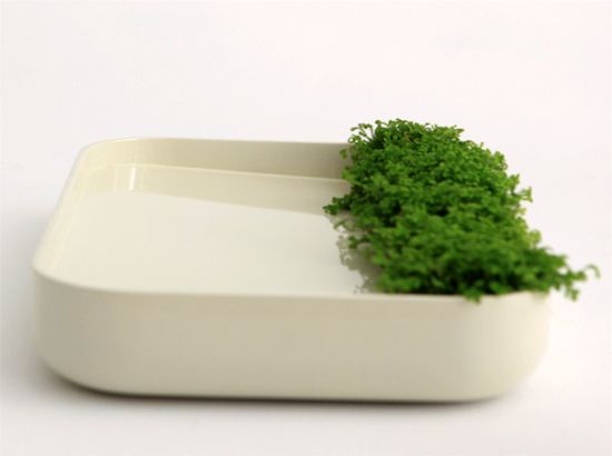lawn for rain 2