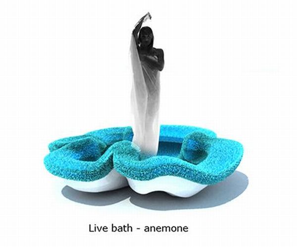 Live bath-anemone by  Irina Samoylova