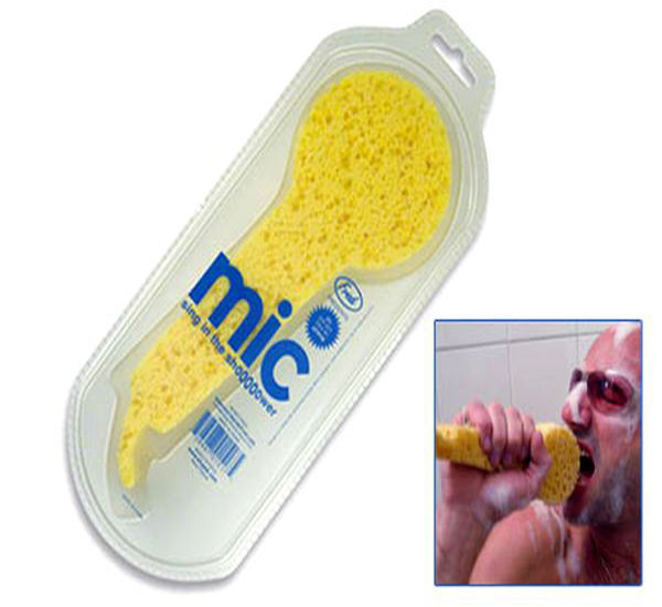 Mic sponge