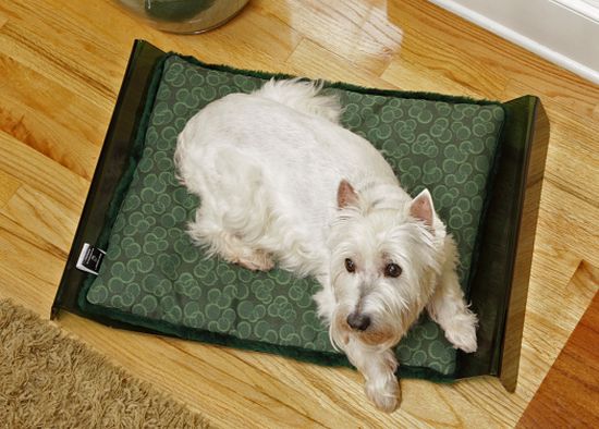 nekohabitatgreenwavebed