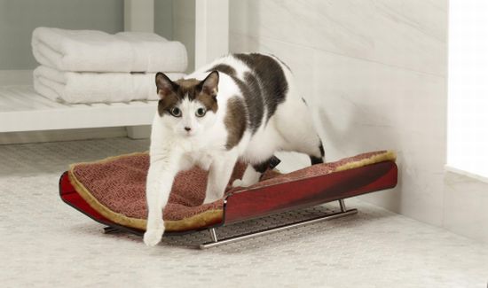 nekohabitatredcradlebed