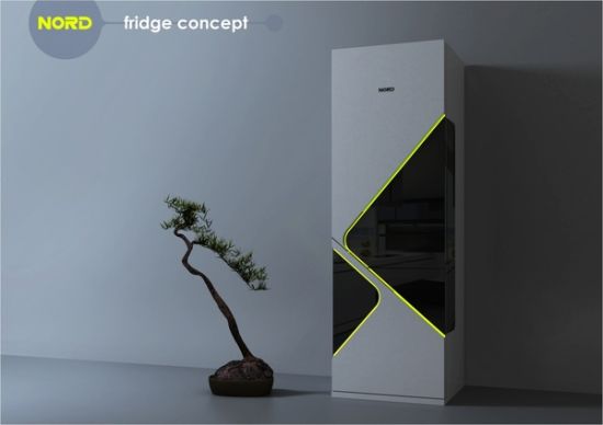 nord fridge concept