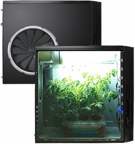 Pc Grow Box Allows You To Grow Plants Inside A Computer Case