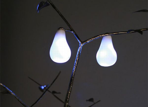 Pear-Shaped Lights