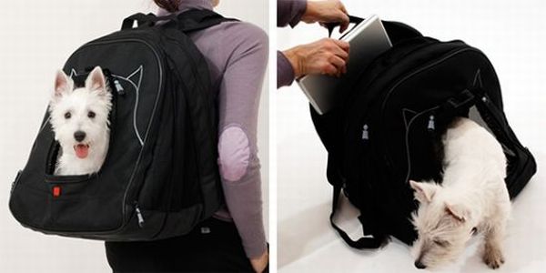Pet laptop backpack