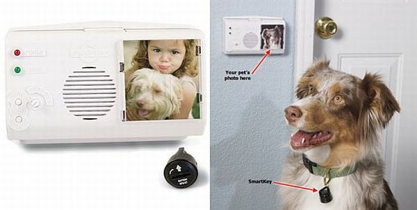 Pet Sensing Doorbell