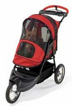 pet stroller 2