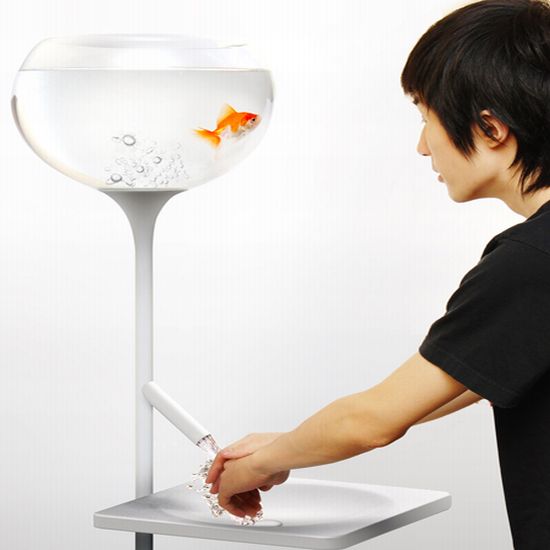 poor little fish 10