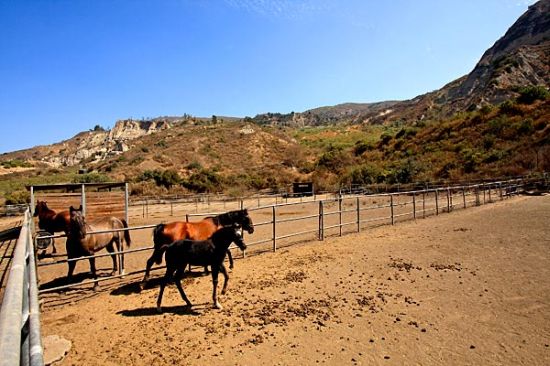 santa paula ranch4 santa paula ranch4