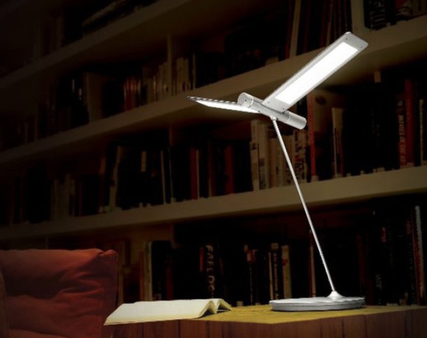 Seagull Light by QisDesign