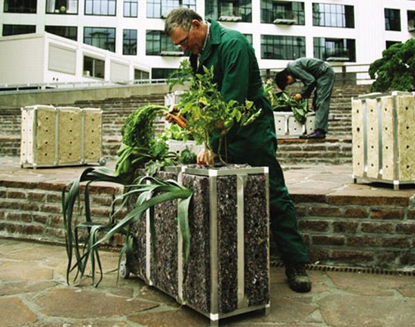 Suitcase Planter