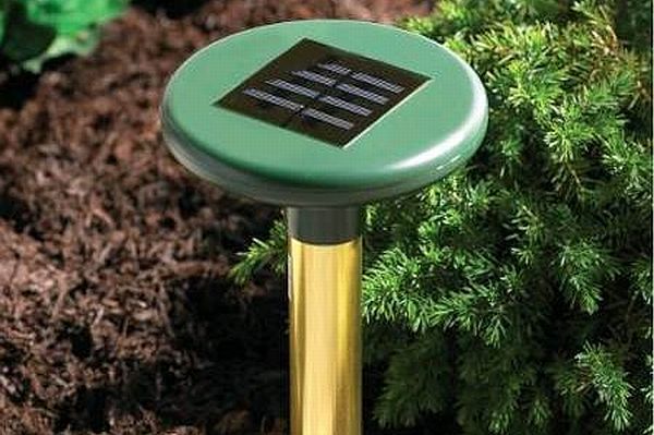 Sustainable gadgets for your garden